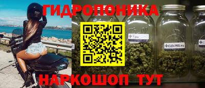 apvp Можга
