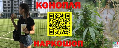 кокс Моздок