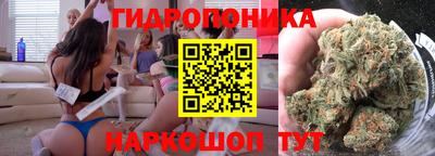 apvp Можга