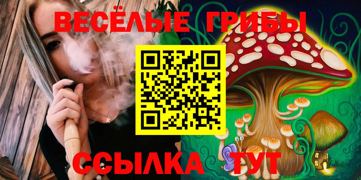 Псилоцибиновые грибы Psilocybe  Псилоцибиновые грибы Magic Shrooms  Вход с VPN  Владикавказ 