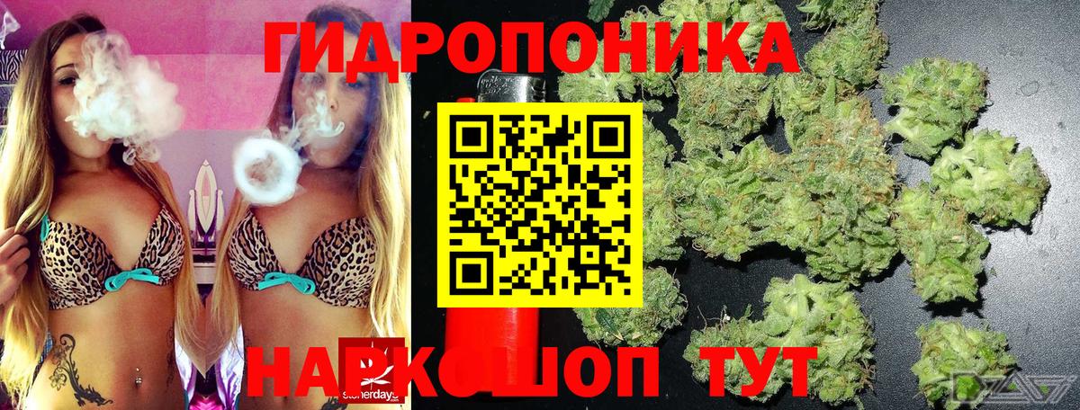 Шишки марихуана MAZAR  Вход с VPN  Каннабис LSD WEED  Бошки Шишки AK-47  Владикавказ 